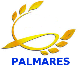 Palmarès 2011 de l’association